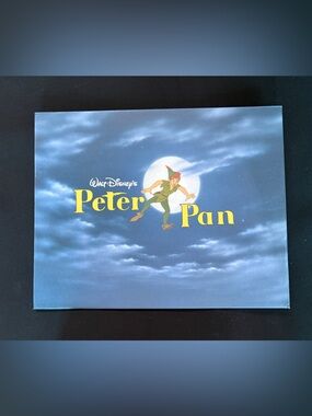 Peter Pan Disney Lithograph (1)